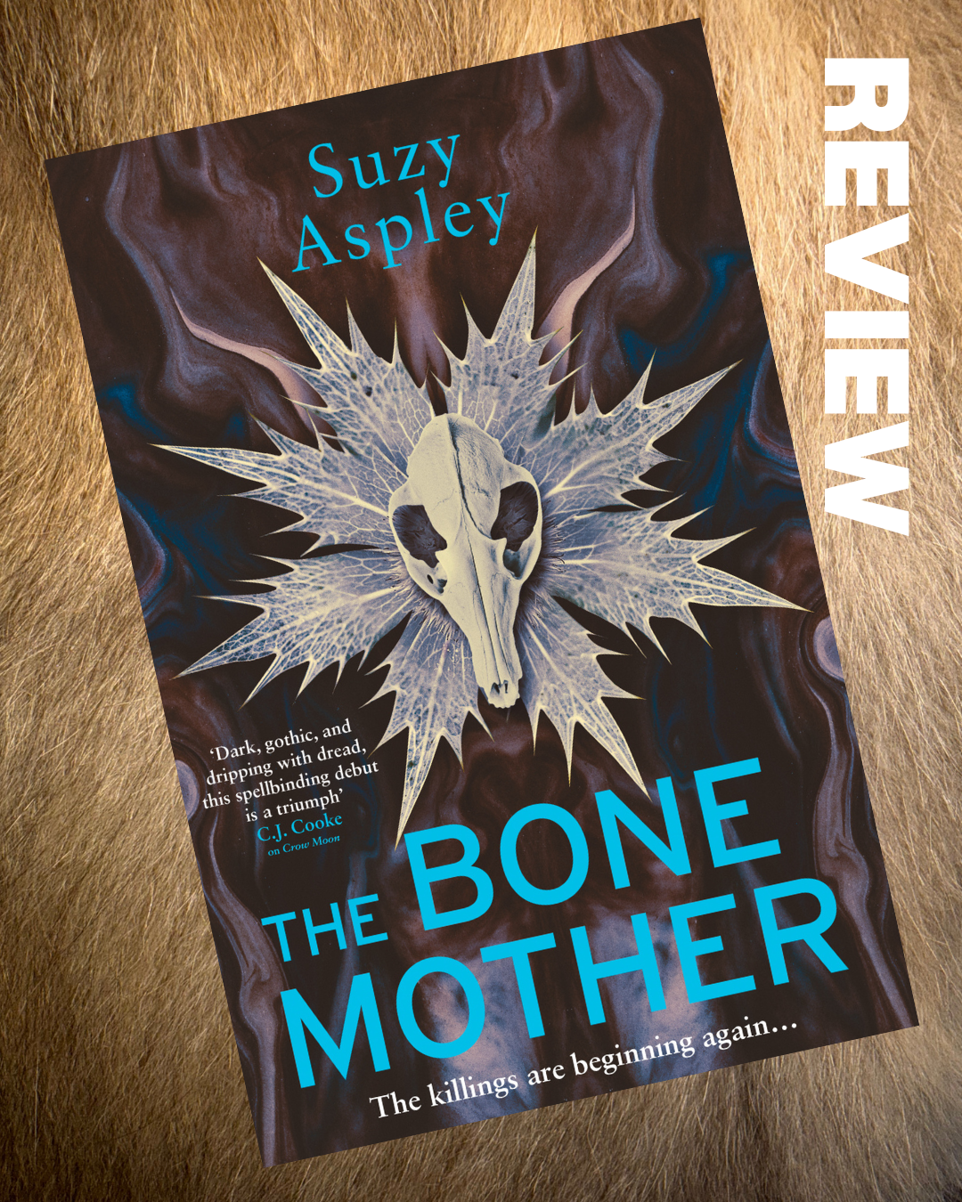 BLOG TOUR: The Bone Mother – Suzy Aspley