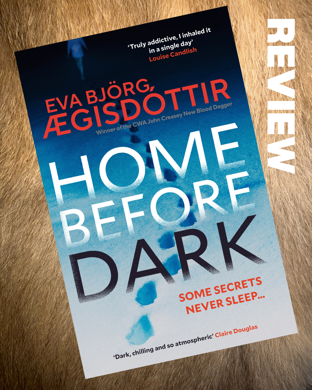 REVIEW: Home Before Dark by Eva Björg Ægisdóttir