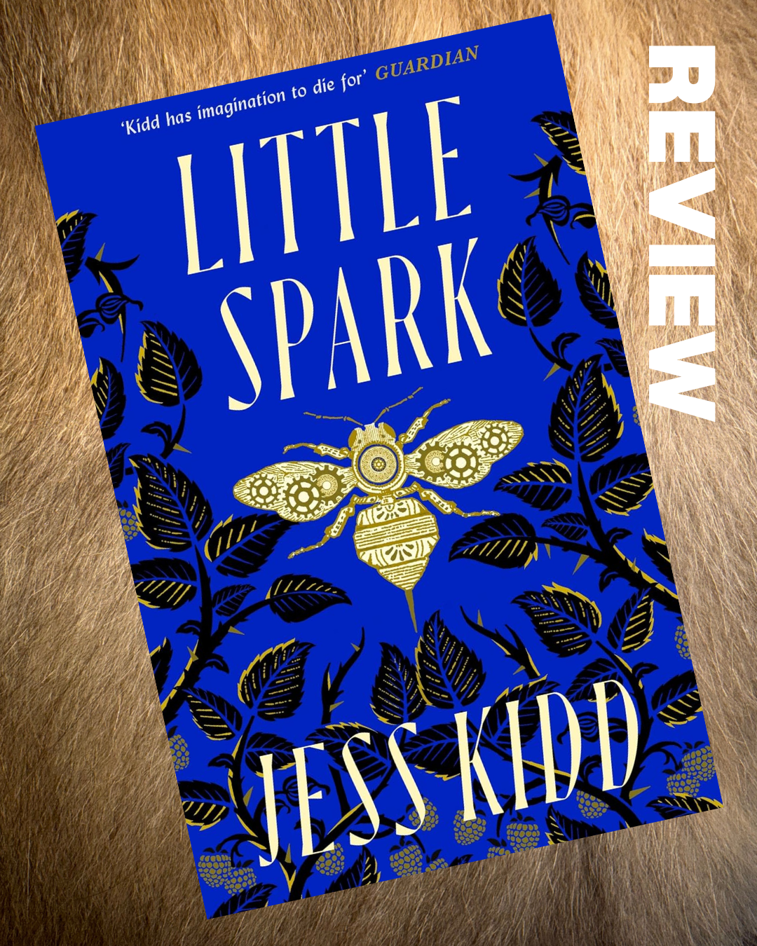 REVIEW: Little Spark by Jess Kidd